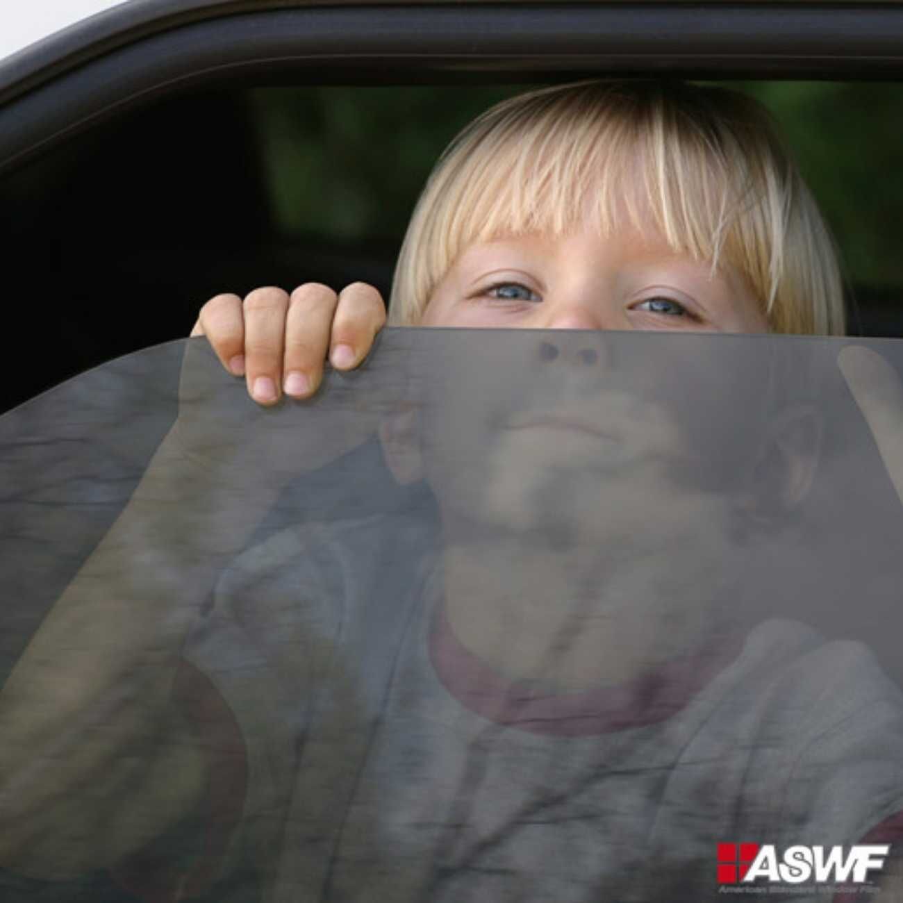 ASWF גליל ציפוי Saver העברת אור 20%, 31 מ' על 1.52 מ'