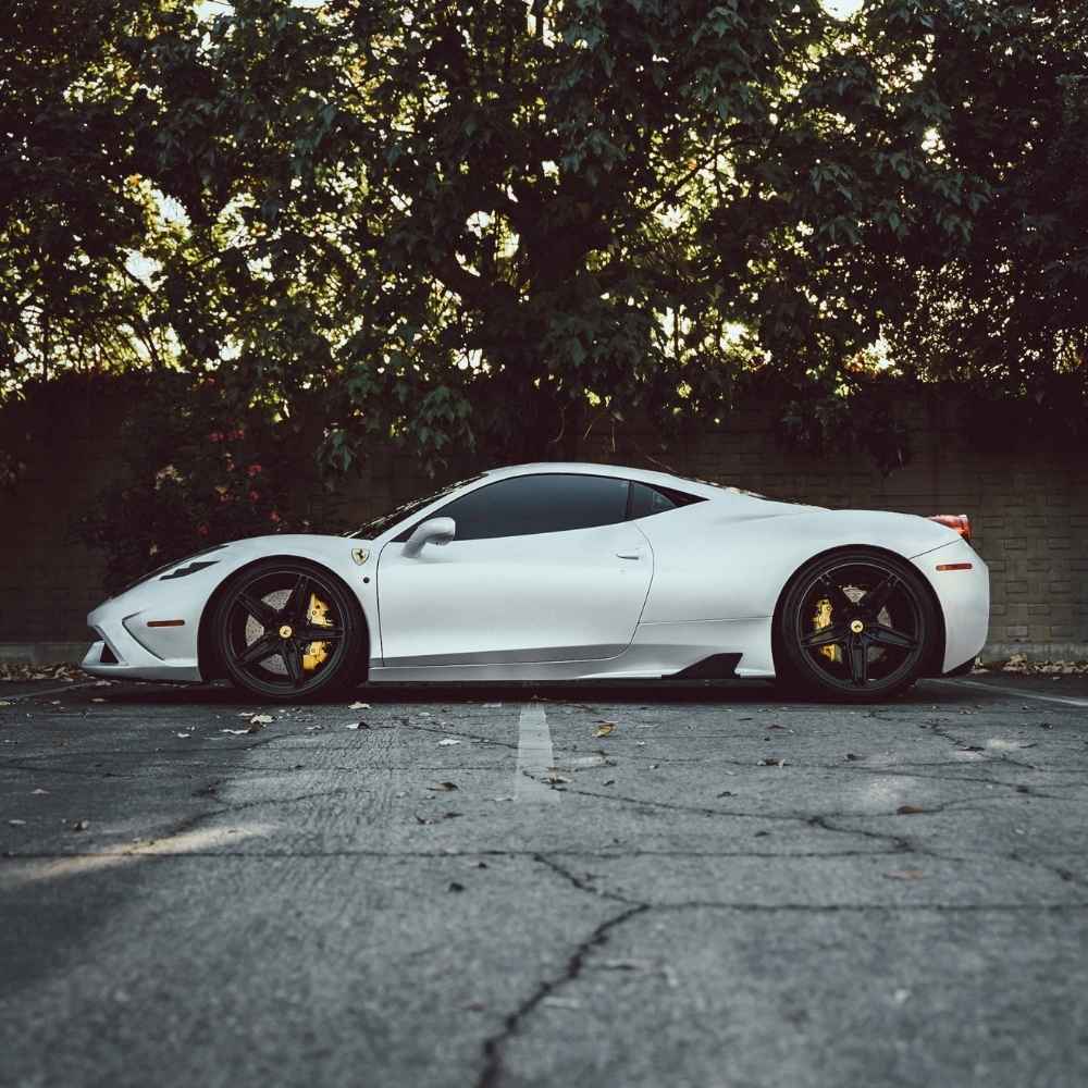 גליל ציפוי PPF לבן פנינה – תמונה 2