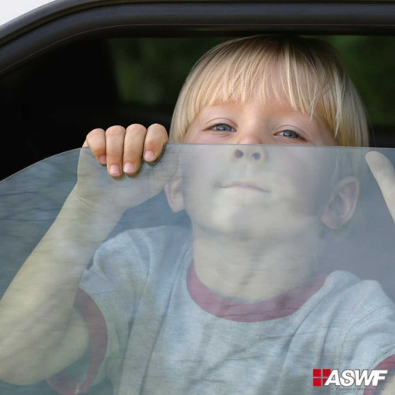 ASWF גליל ציפוי Performer העברת אור 60%