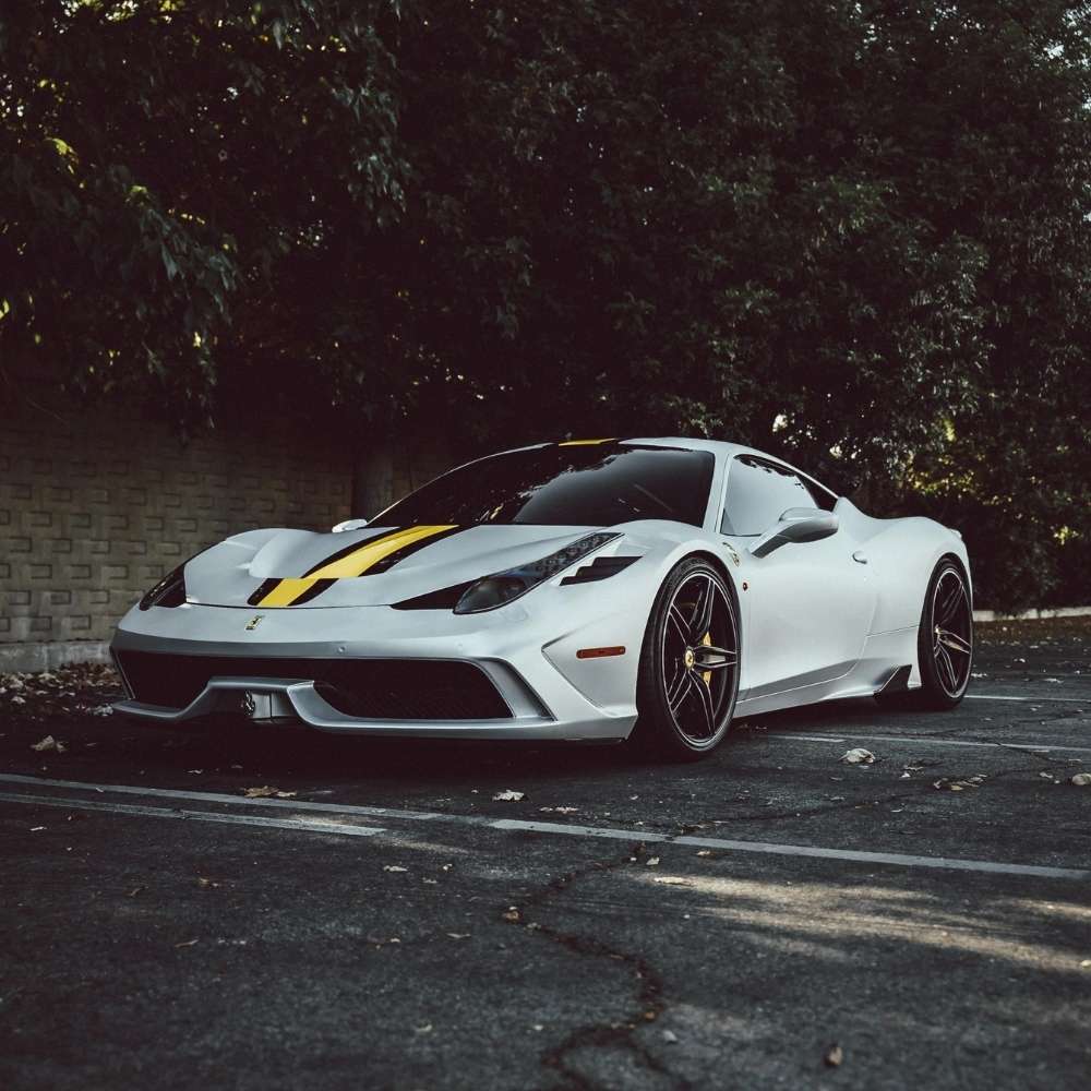 גליל ציפוי PPF לבן פנינה – תמונה 3